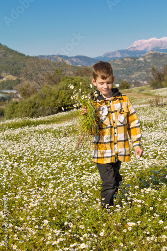 A little boy walks across the field with a bouquet of flowers. Spring flowering.