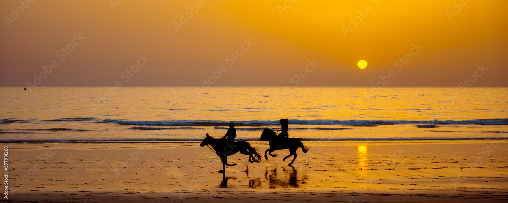 Two horses on the beach at sunset Stock Photo | Adobe Stock