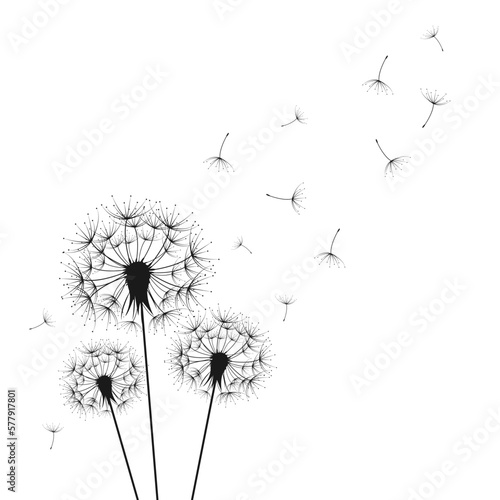 Dandelion wall decal flow in the wind wall decal dandelion wall stickers dandelion flying wall decal children s room