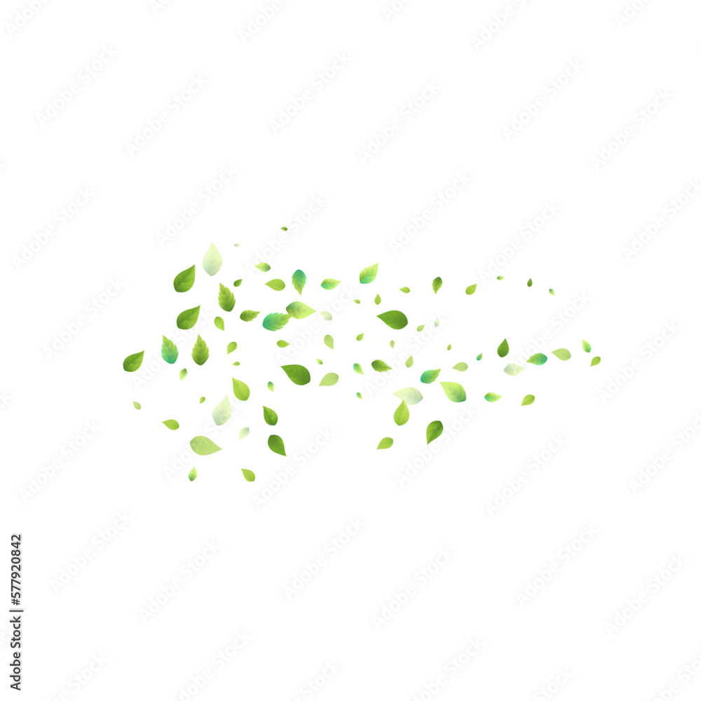 Leaves Green Falling Flying Foliage Leaf Tea Mint Leaves Green Falling Flying Foliage Leaf Tea Mint