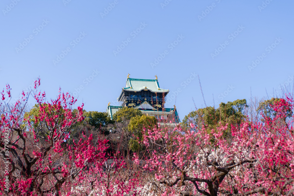 大阪城梅林にて