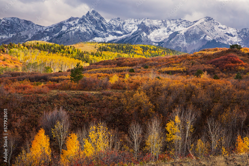 Bright Fall foliage in Colorado with snow covered mountains Bright Fall foliage in Colorado with snow covered mountains