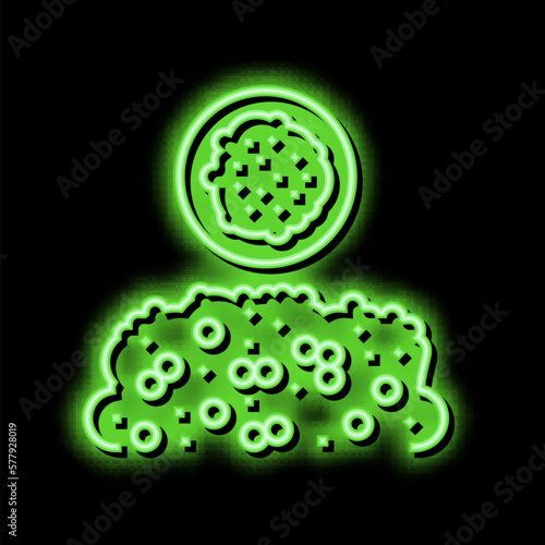 dagoussa groat neon glow icon illustration