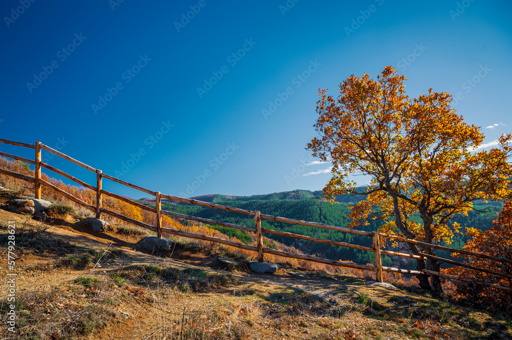 View the fence View the fence