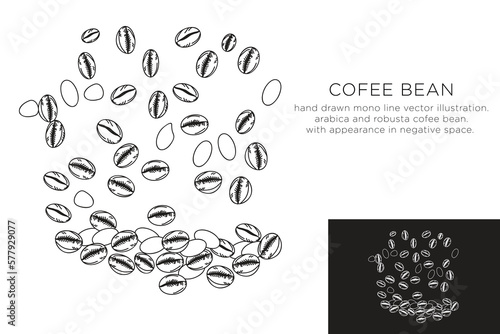 hand drawn monoline vector illustration.
arabica and robusta cofee bean.
with appearance in negative space.