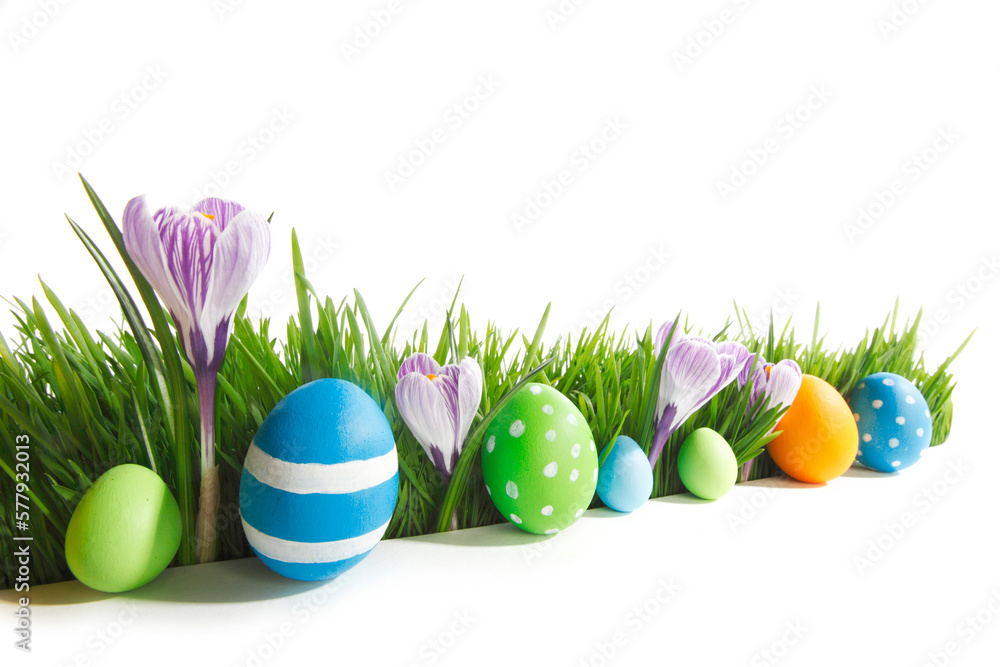 Easter eggs in grass Easter eggs in grass