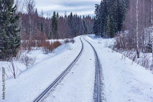 Railway track in the winter forest.