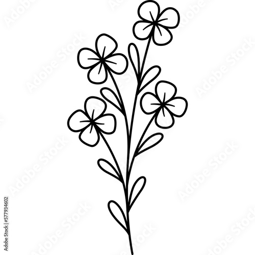 Plant Flower Outline Illustration