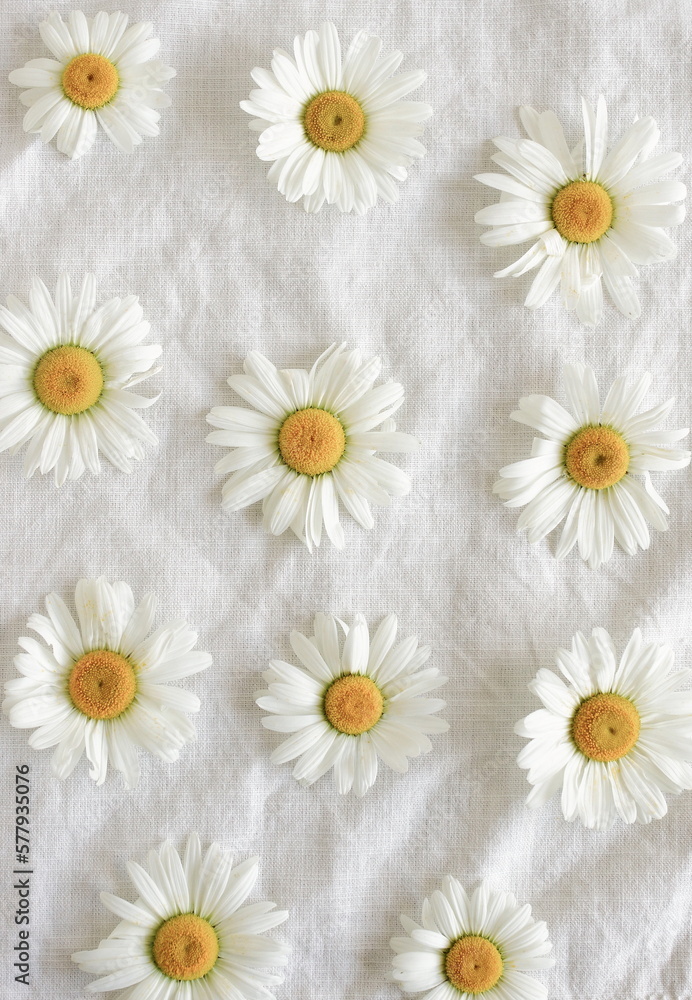 Obraz premium Daisy Flowers background . chamomile flowers pattern on beige linen texture top view. Aesthetic botanical poster