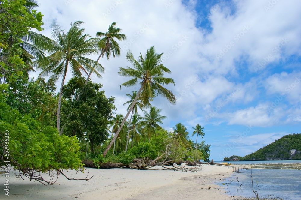 Beautiful summer scene, the beach with palm trees - Raja Ampat, West Papua, Indonesia, Friwen island Beautiful summer scene, the beach with palm trees - Raja Ampat, West Papua, Indonesia, Friwen island