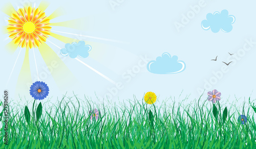 beautiful illustration with green grass and multicolored flowers on the background of the sky and clouds