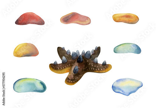 Hand drawn watercolor elements. Dark brown starfish and assorted colorful sea glass pieces. Isolated on white background. Design wall art, wedding, print, fabric, cover, card, tourism, travel booklet.