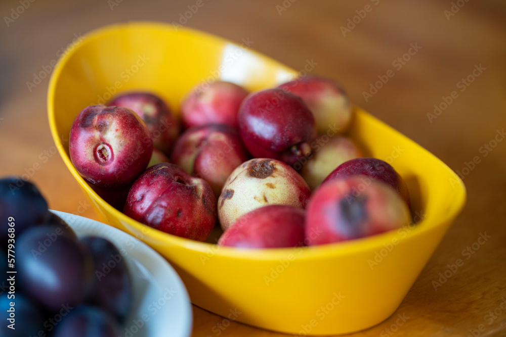 bowl of fruit, plums and apricot bowl of fruit, plums and apricot