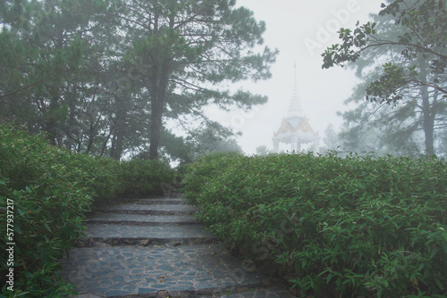 public park, fog, buddha statue