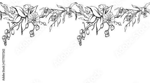 Hand drawn vector ink orchid flowers and branches, monochrome, detailed outline. Horizontal seamless banner. Isolated on white background. Design for wall art, wedding, print, tattoo, cover, card.