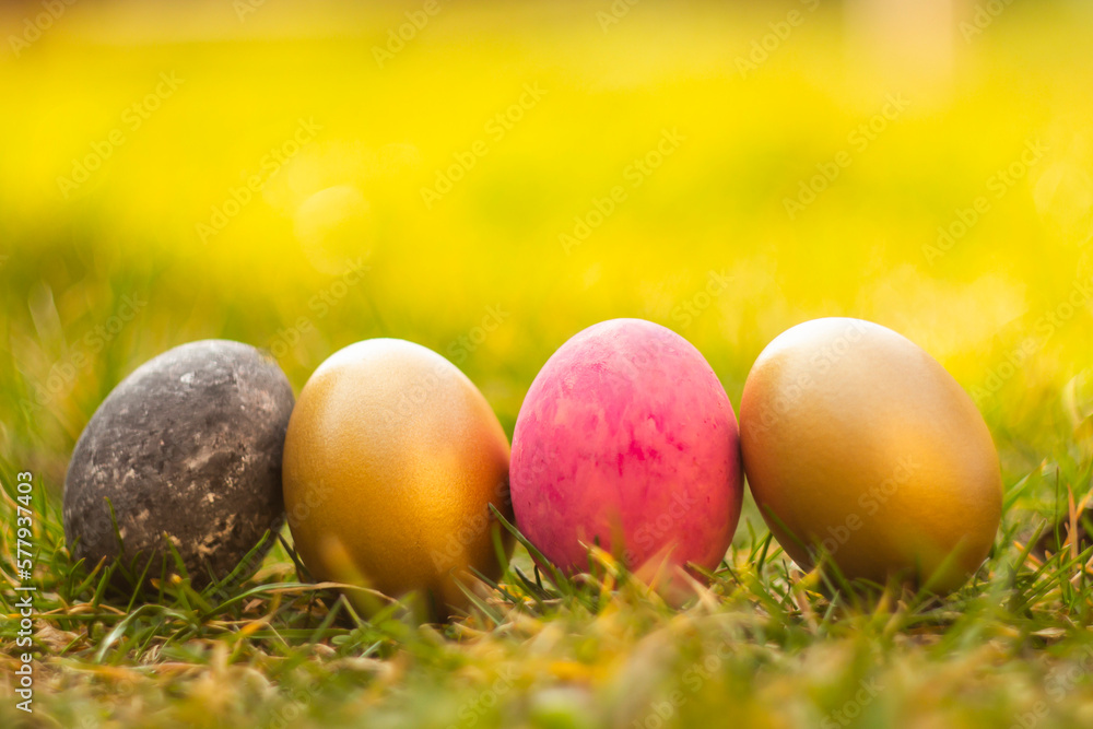 Painted easter eggs in a fresh grass