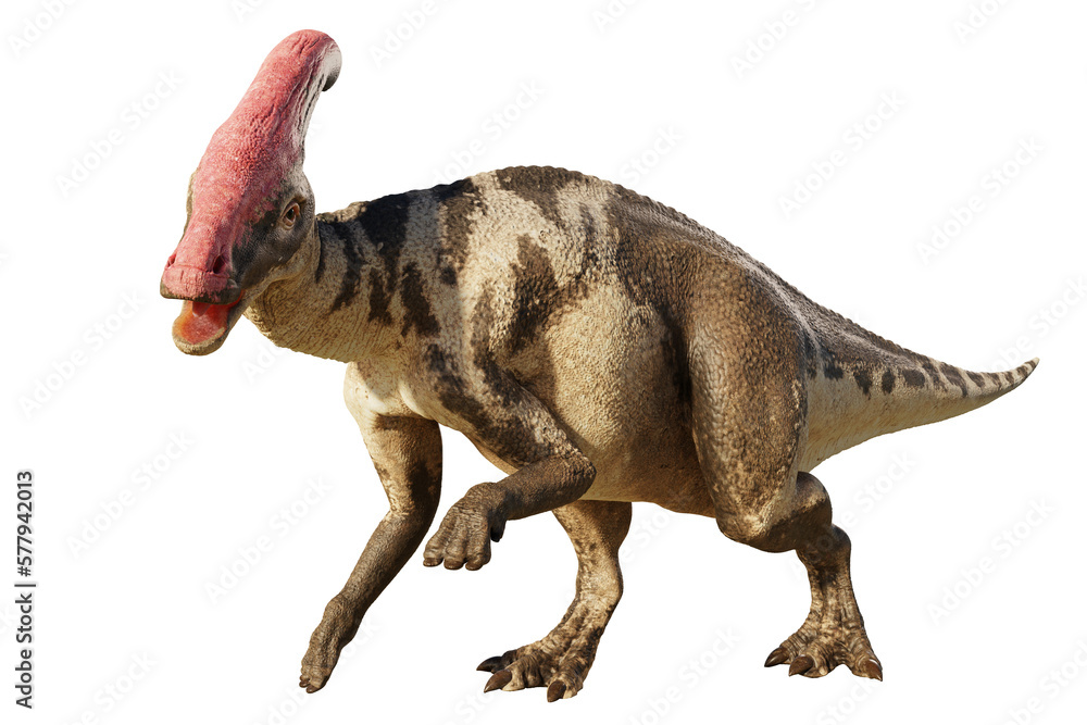 Parasaurolophus, dinosaur from Late Cretaceous, isolated on transparent background

