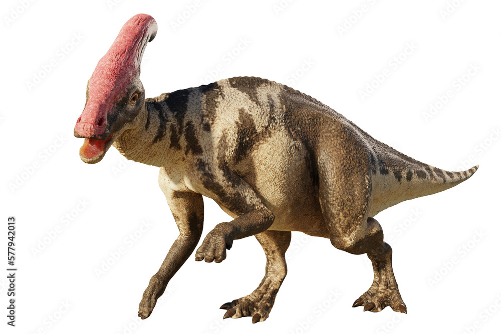 Parasaurolophus, dinosaur from Late Cretaceous, isolated on transparent background