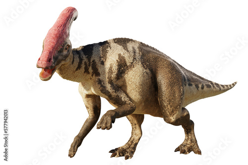 Parasaurolophus, dinosaur from Late Cretaceous, isolated on transparent background