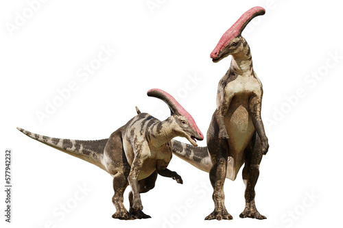Parasaurolophus, dinosaur couple the from Late Cretaceous, isolated on transparent background   © dottedyeti