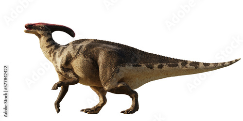 Fototapeta Naklejka Na Ścianę i Meble -  Parasaurolophus, dinosaur from the Late Cretaceous, isolated on transparent background