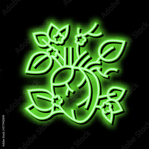 blooming heart neon glow icon illustration