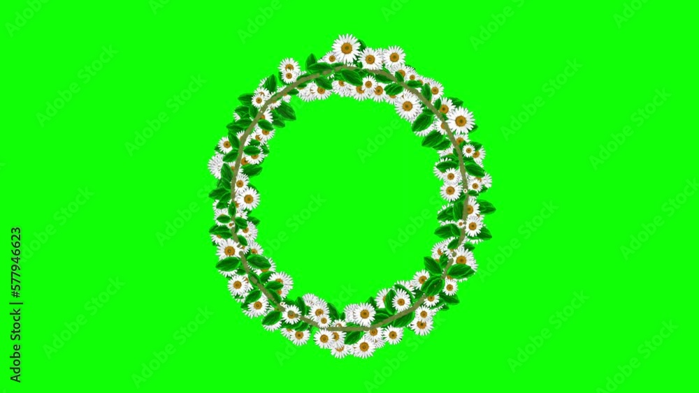 English alphabet O with daisy flowers on green screen background English alphabet O with daisy flowers on green screen background
