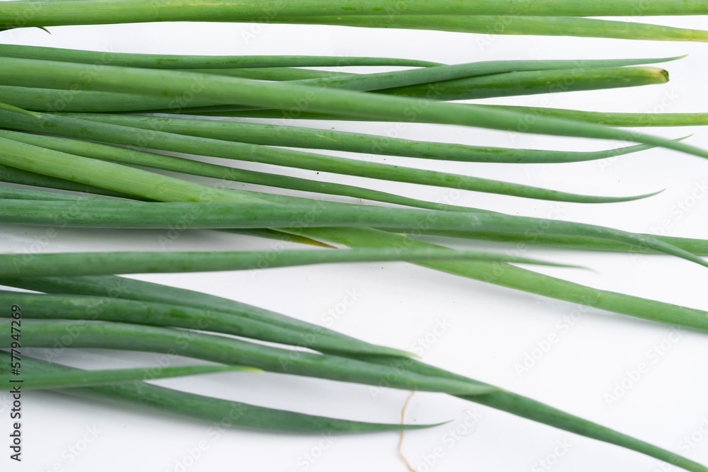 Fototapeta premium Leek plant on a white background