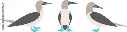 Booby logo. Isolated booby on white background. Gannet