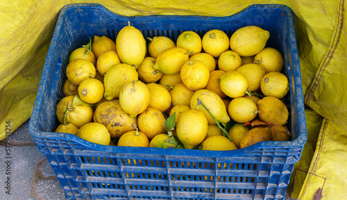 Yellow lemons in crates at on bazaar stall.
