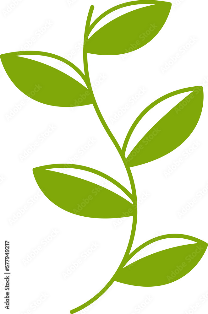 Fototapeta premium leaves and branch illustration