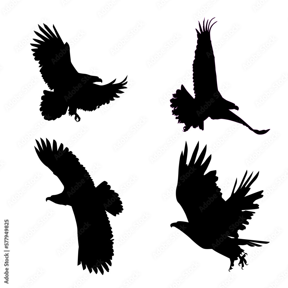 Fototapeta premium silhouette eagle vector eps 10
