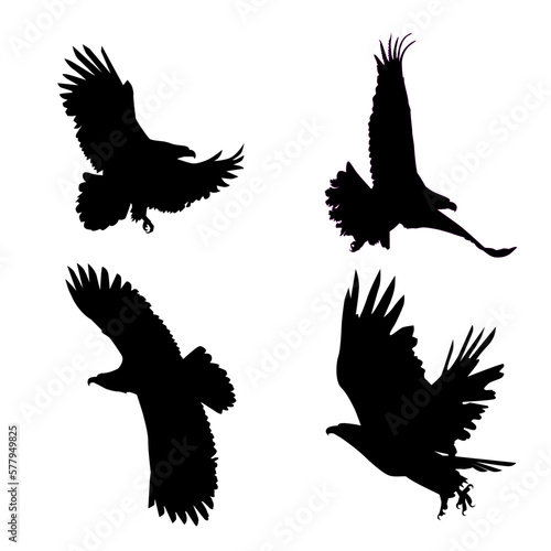 silhouette eagle vector eps 10