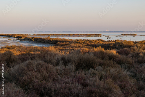 Coucher de soleil sur l Etang de l Or au niveau de la Pointe du Salaison  zone riche en oiseaux