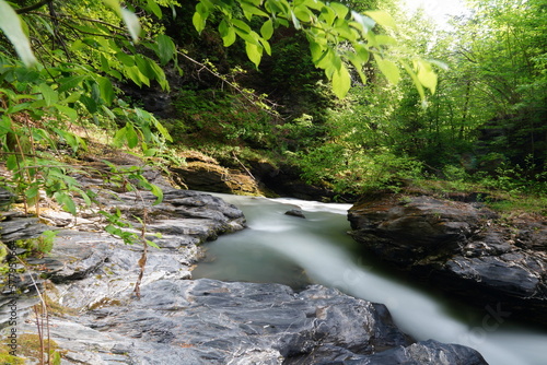 Cours d'eau en forêt