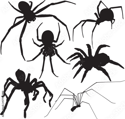 Spider vector silhouettes. Layered. Fully editable
