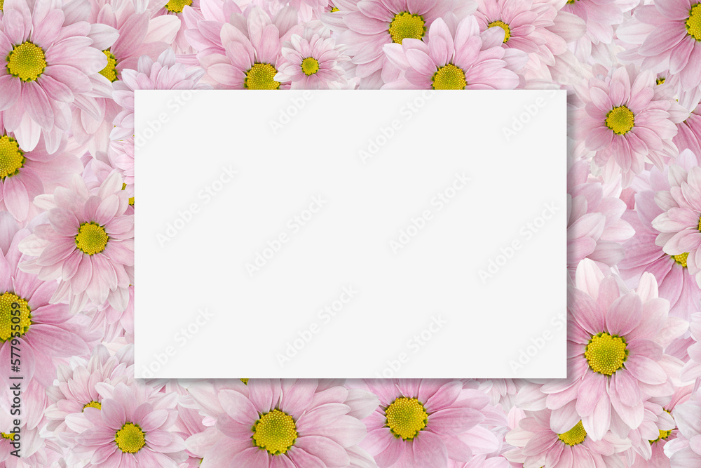White blank card on pink chrysanthemum pattern background. Mockup, Layout for text. Copy space. Invitation, greeting card. Love letter White blank card on pink chrysanthemum pattern background. Mockup, Layout for text. Copy space. Invitation, greeting card. Love letter