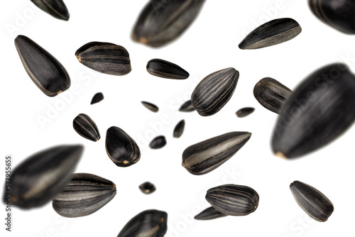 sunflower seeds flying and falling in the air on white