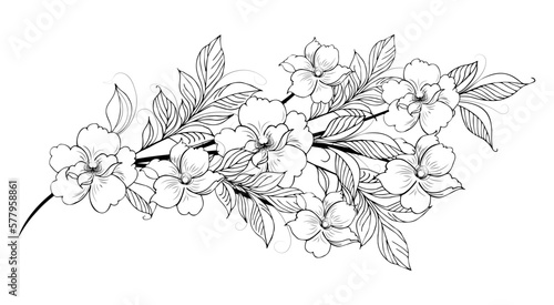 Gentle floral background from flower branches and buds, flower arrangement. Hand drawing. For stylized decor, invitations, cards, posters, flyers, backgrounds, as clipart