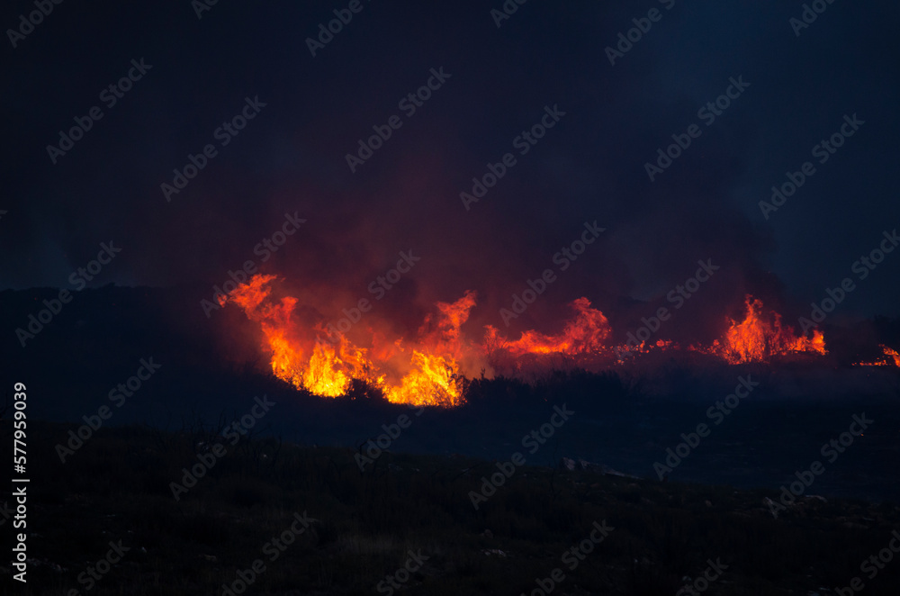 forest fire in a mountain at dusk, ecology concept