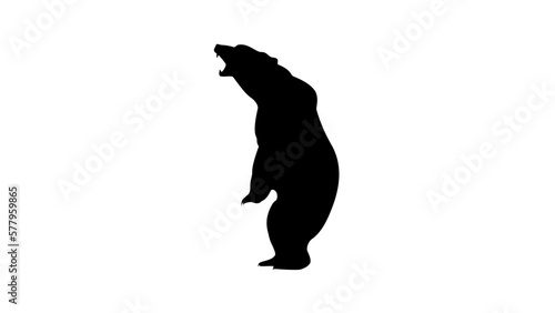 Grizzly bear silhouette