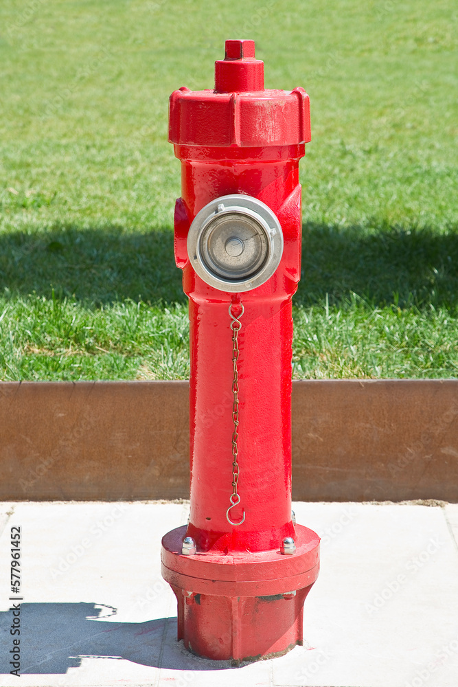 Metal fire hydrant colred in red with fresh green meadow in a public park Metal fire hydrant colred in red with fresh green meadow in a public park