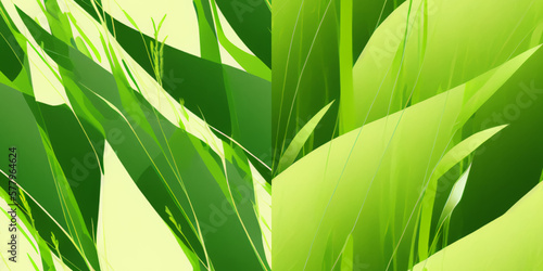 green grass background