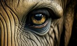  a close up of an elephant's eye with a yellow iris.  generative ai