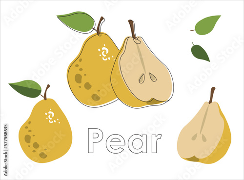 Flat  vector pear with line. Pears on white background