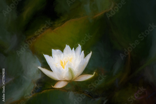 Digital painting of a white waterlily and green lily pads on a pond.