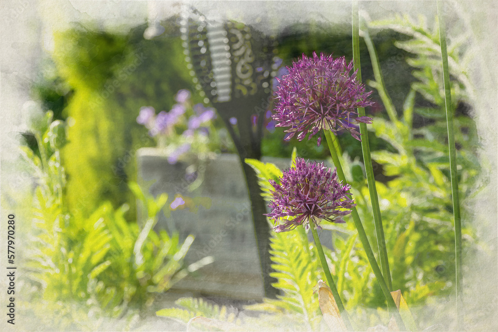 Obraz premium Purple Allium digital watercolour painting. Herbaceous, perennial plants in a suburban garden.