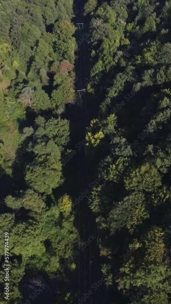 Nature, drone flight above green forest, power line, skyline, vertical background