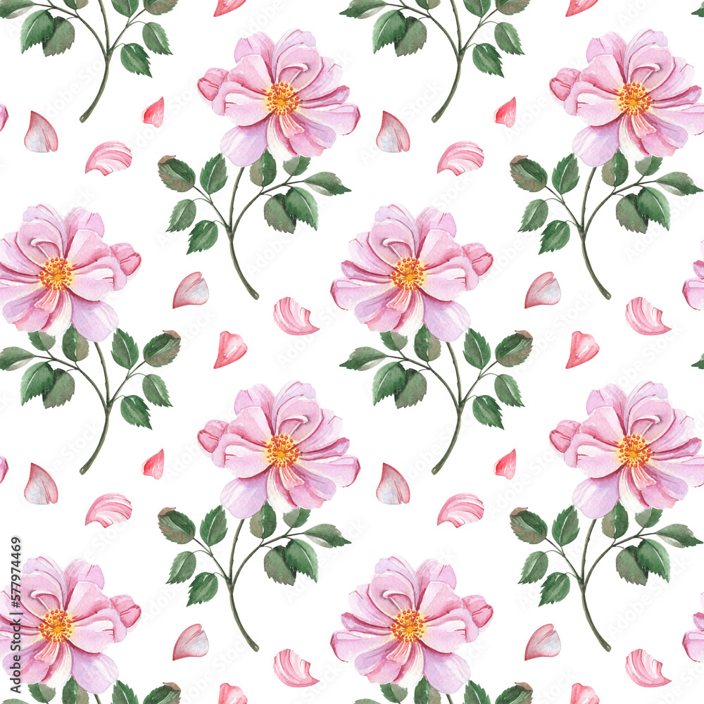 Spring watercolor seamless pattern. Floral wallpaper. Pink blooming anemones on white.