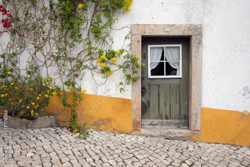 Paint flaked door in whitewahed wall with flowers, Obidos, Central Region, Portugal, Europe